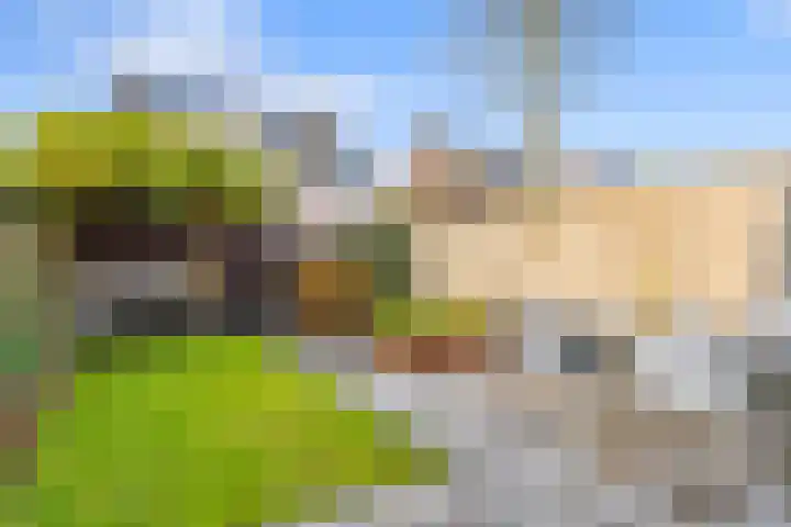Coupletweg 56 Rosmalen thumbnail 18