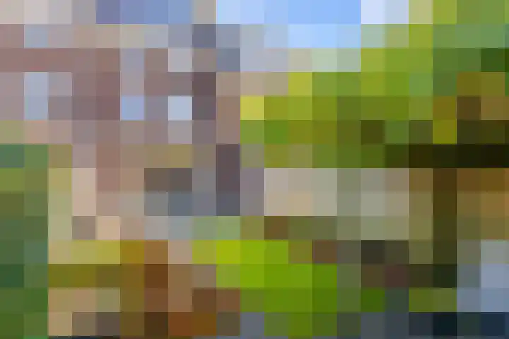 Coupletweg 56 Rosmalen thumbnail 19