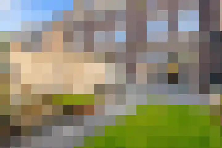 Coupletweg 56 Rosmalen thumbnail 20