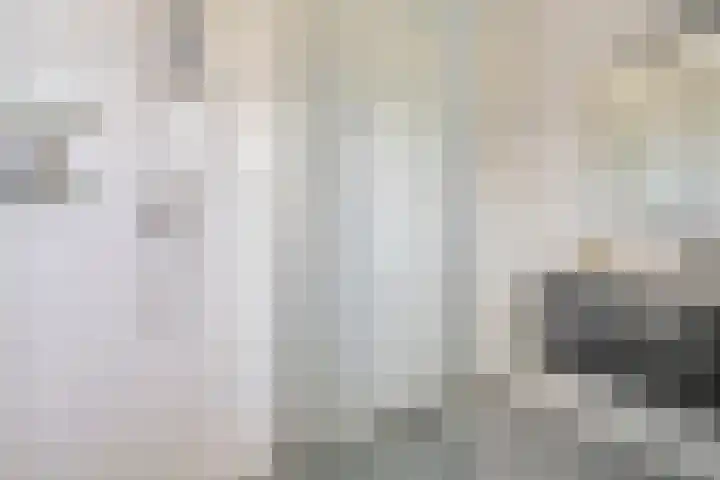 Coupletweg 56 Rosmalen thumbnail 30