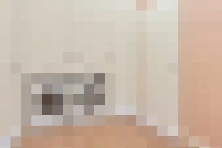 Coupletweg 56 Rosmalen thumbnail 33
