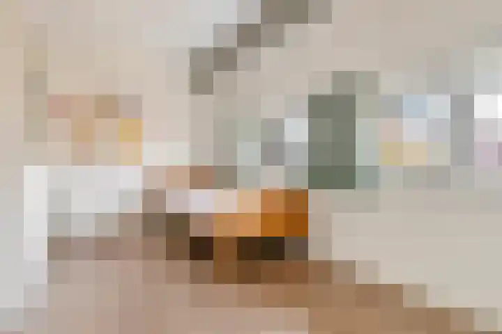 Coupletweg 56 Rosmalen thumbnail 34