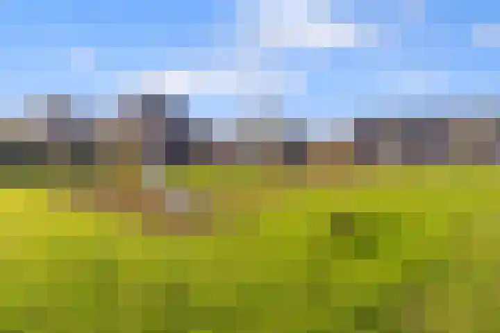 Coupletweg 56 Rosmalen thumbnail 40