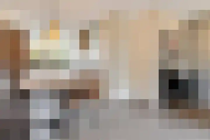 Coupletweg 56 Rosmalen thumbnail 8