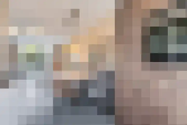 Coupletweg 56 Rosmalen thumbnail 9