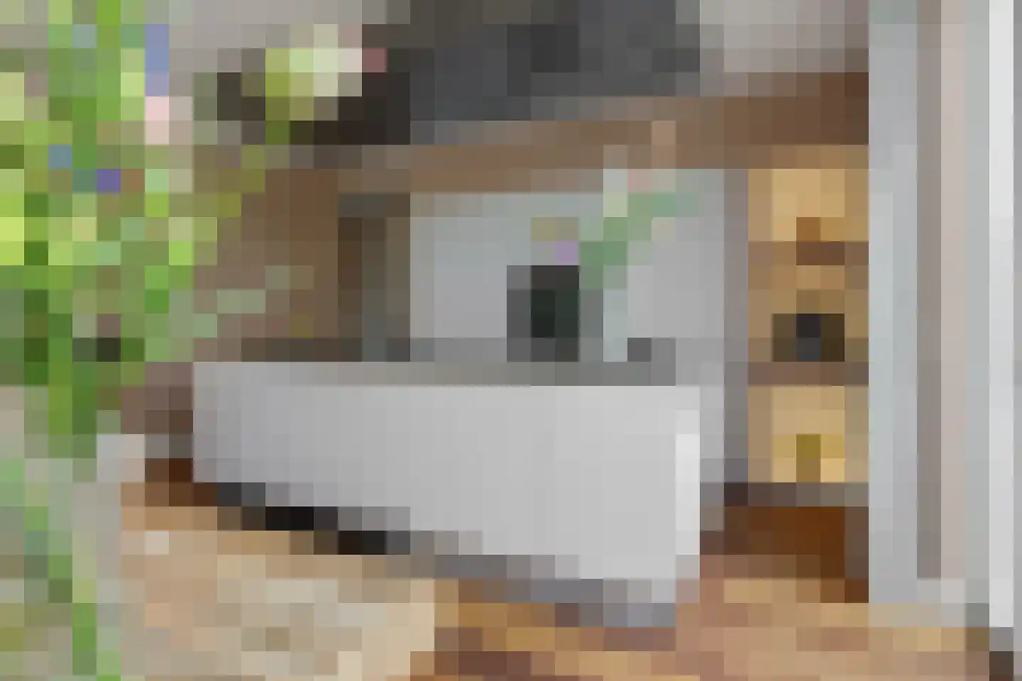 Coupletweg 64 Rosmalen thumbnail 11