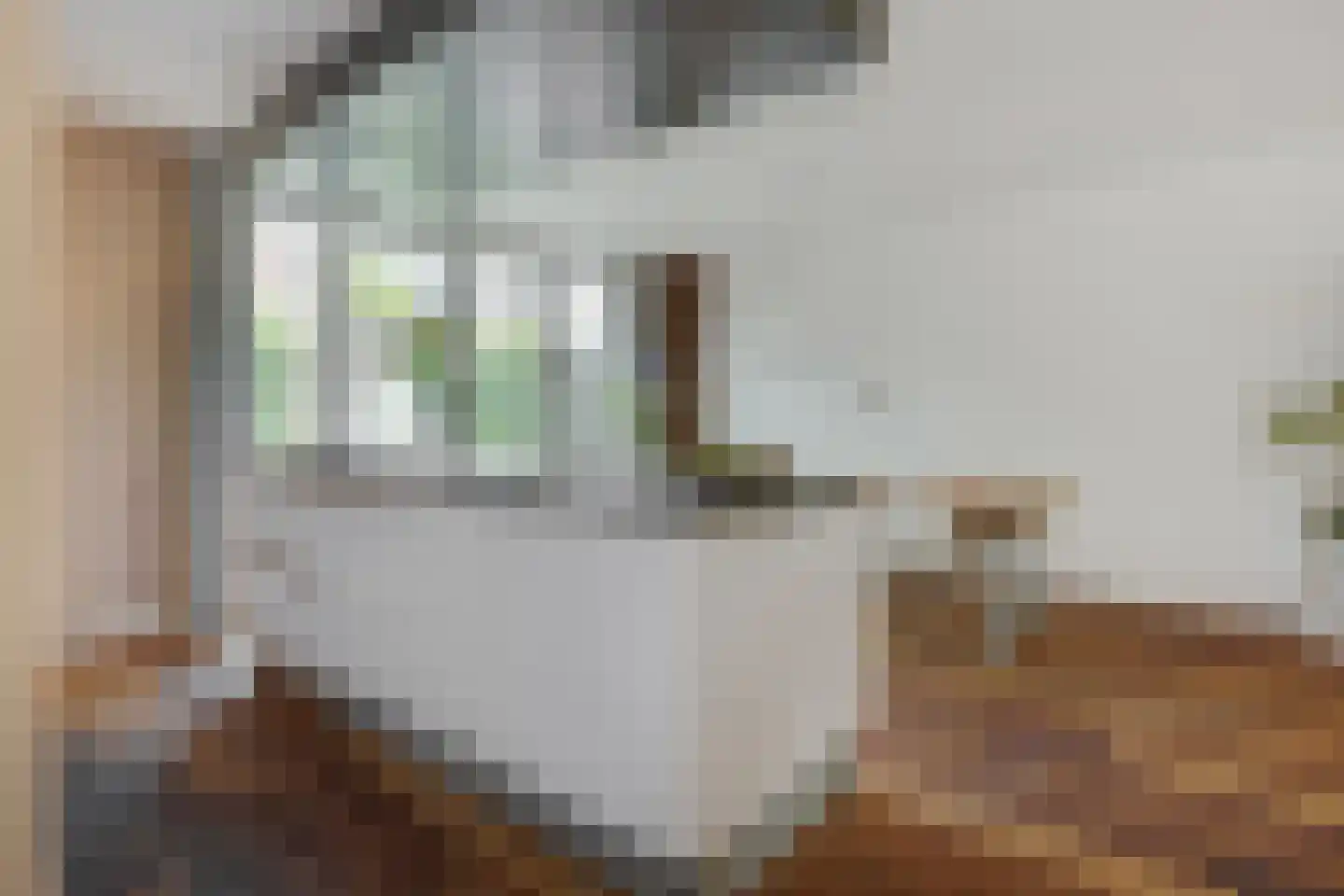 Coupletweg 64 Rosmalen thumbnail 12
