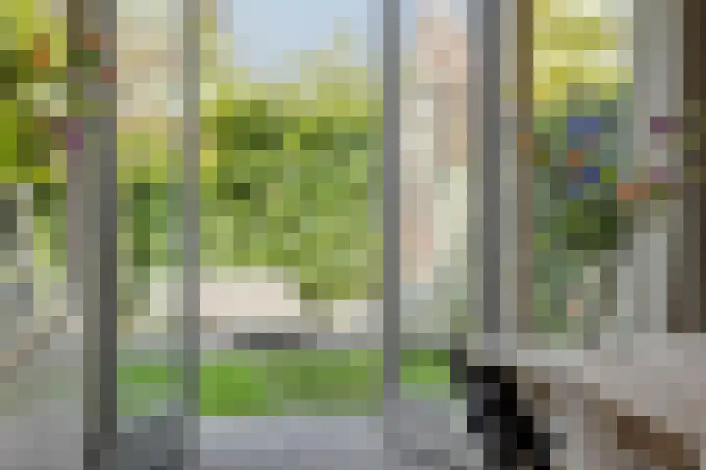 Coupletweg 64 Rosmalen thumbnail 15