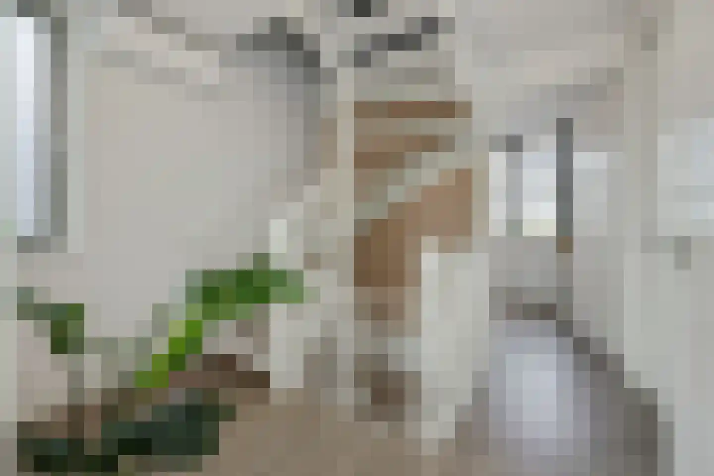 Coupletweg 64 Rosmalen thumbnail 22