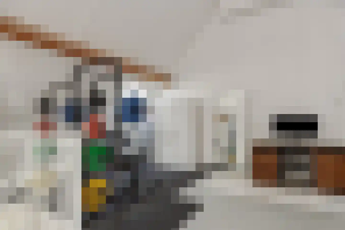 Coupletweg 64 Rosmalen thumbnail 33