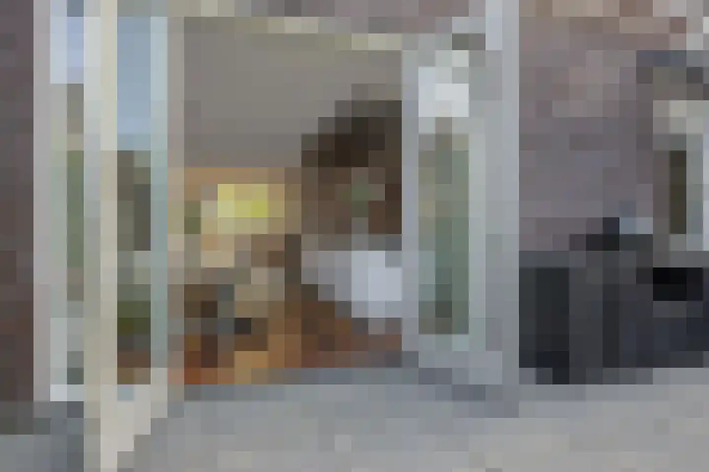 Coupletweg 64 Rosmalen thumbnail 35