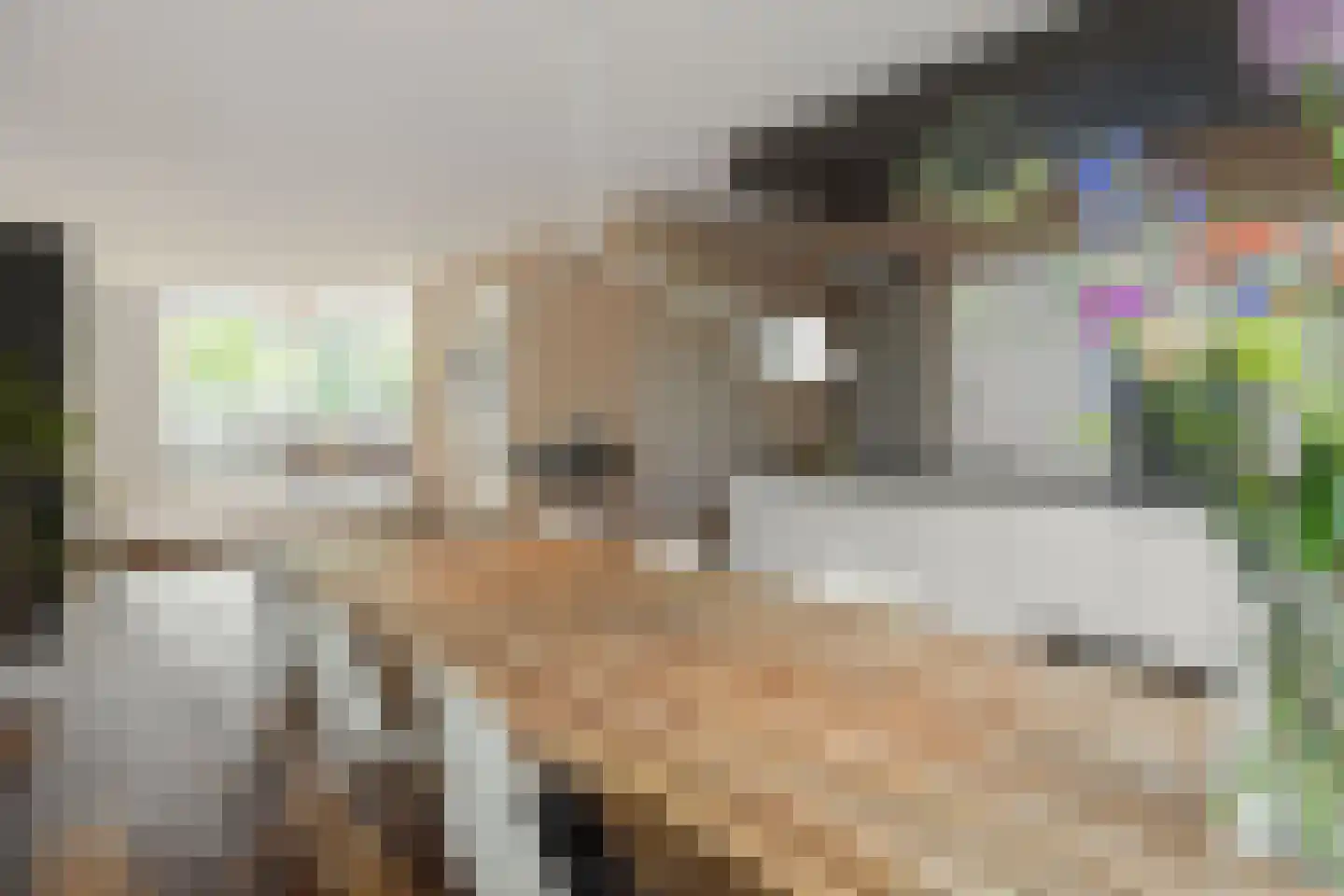Coupletweg 64 Rosmalen thumbnail 4