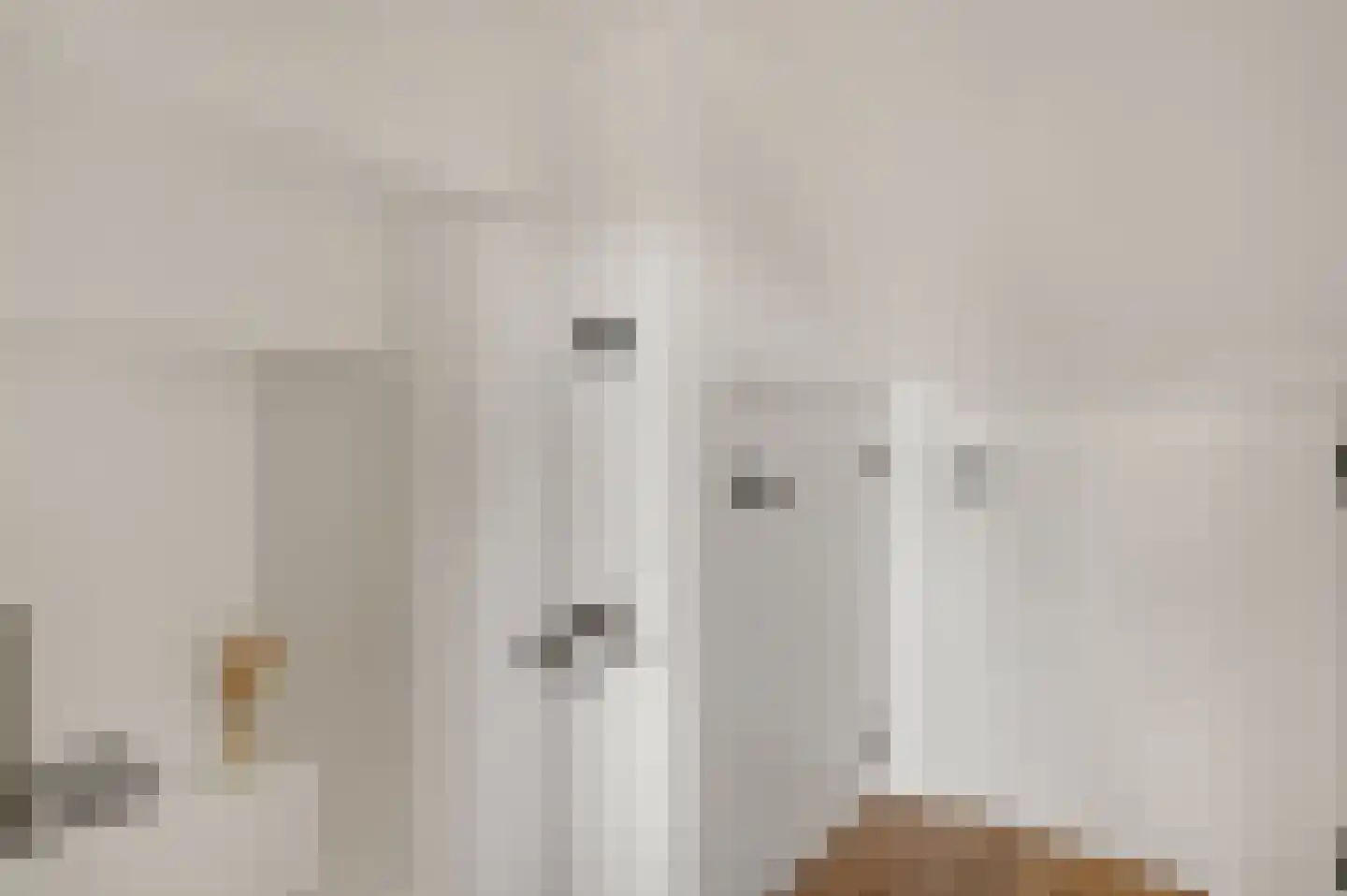Coupmansstraat 4 Roggel thumbnail 31