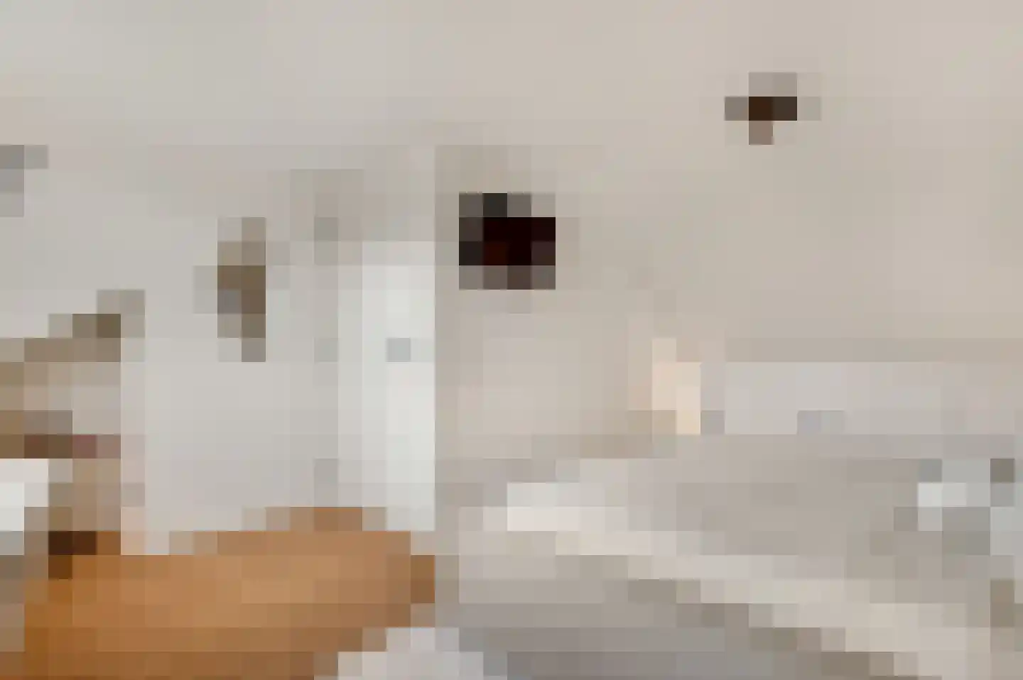 Coupmansstraat 4 Roggel thumbnail 33