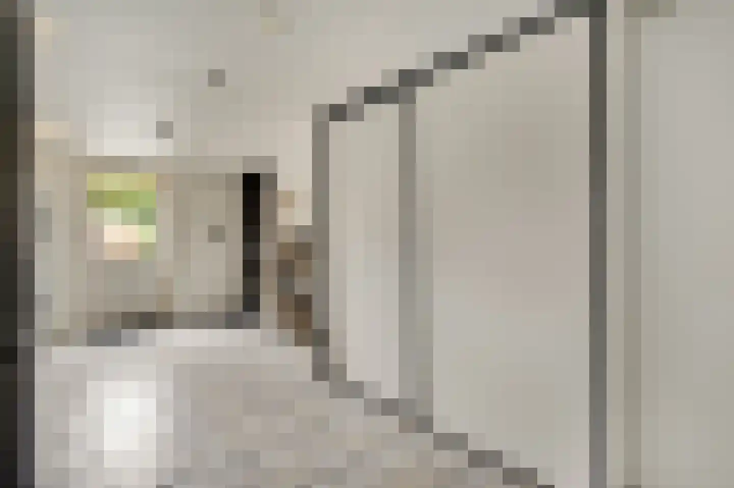 Coupmansstraat 4 Roggel thumbnail 36