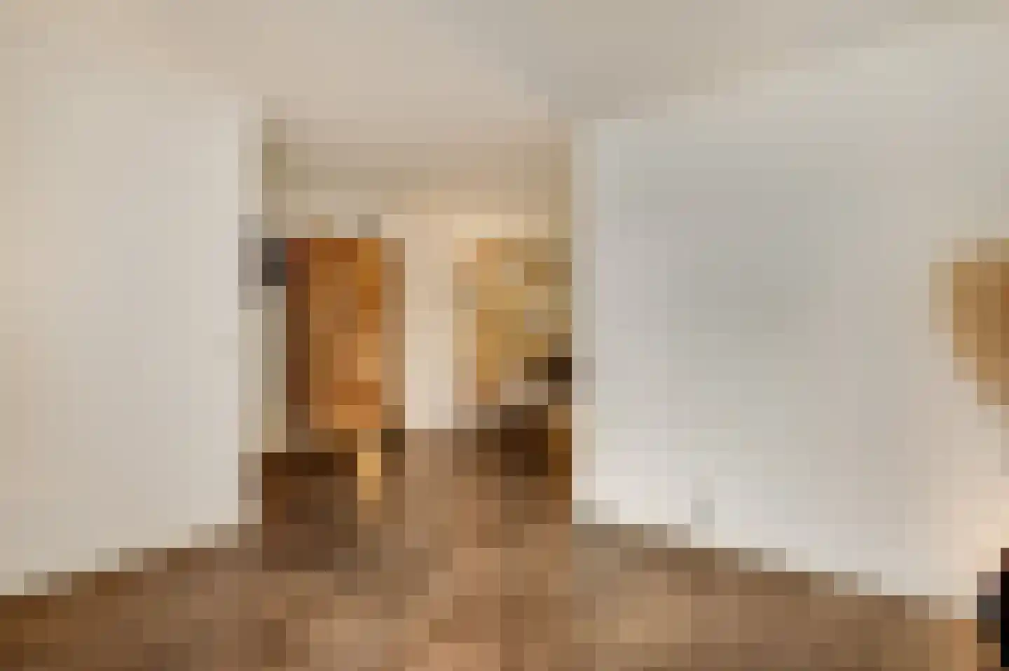 Coupmansstraat 4 Roggel thumbnail 7