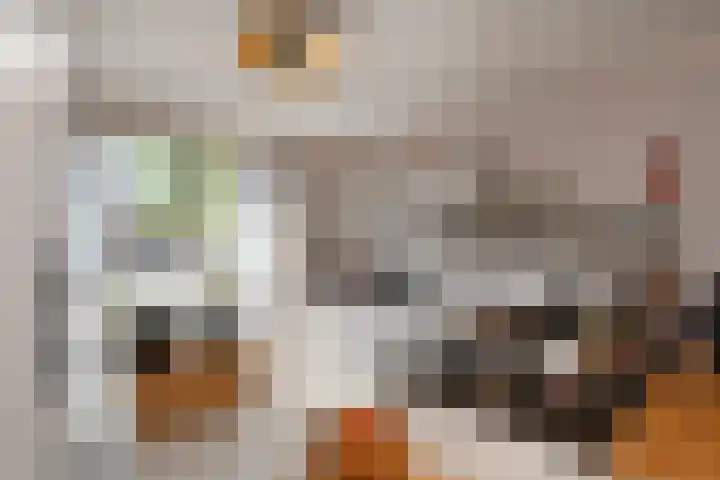 Coupure 19 Steenbergen thumbnail 12