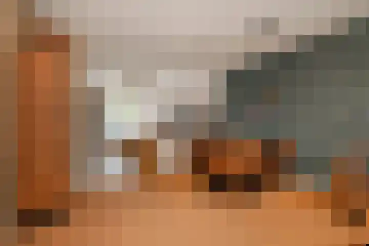 Coupure 19 Steenbergen thumbnail 16