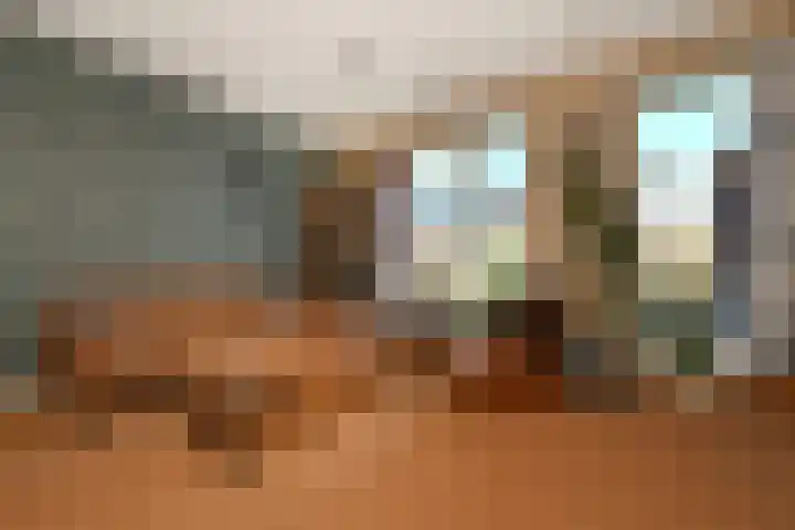 Coupure 19 Steenbergen thumbnail 17