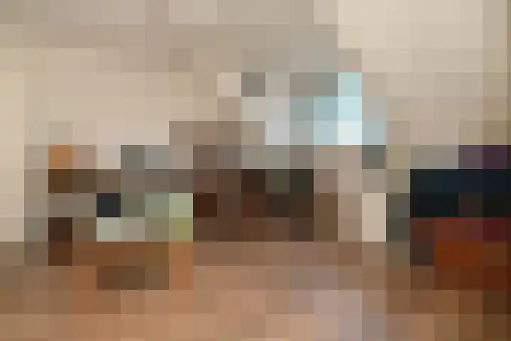 Coupure 19 Steenbergen thumbnail 21