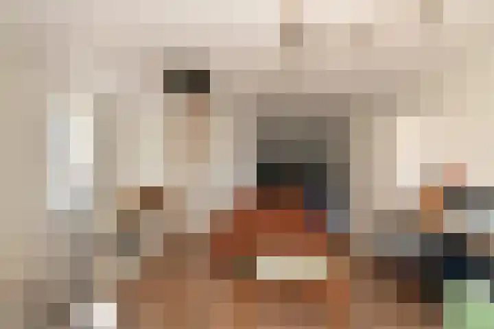 Coupure 19 Steenbergen thumbnail 22