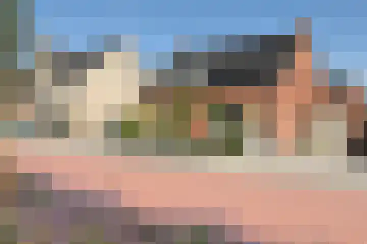Coupure 19 Steenbergen thumbnail 23