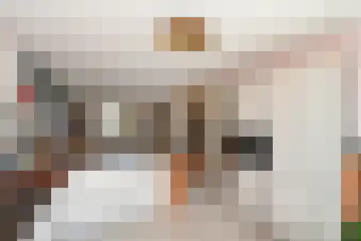 Coupure 19 Steenbergen thumbnail 4
