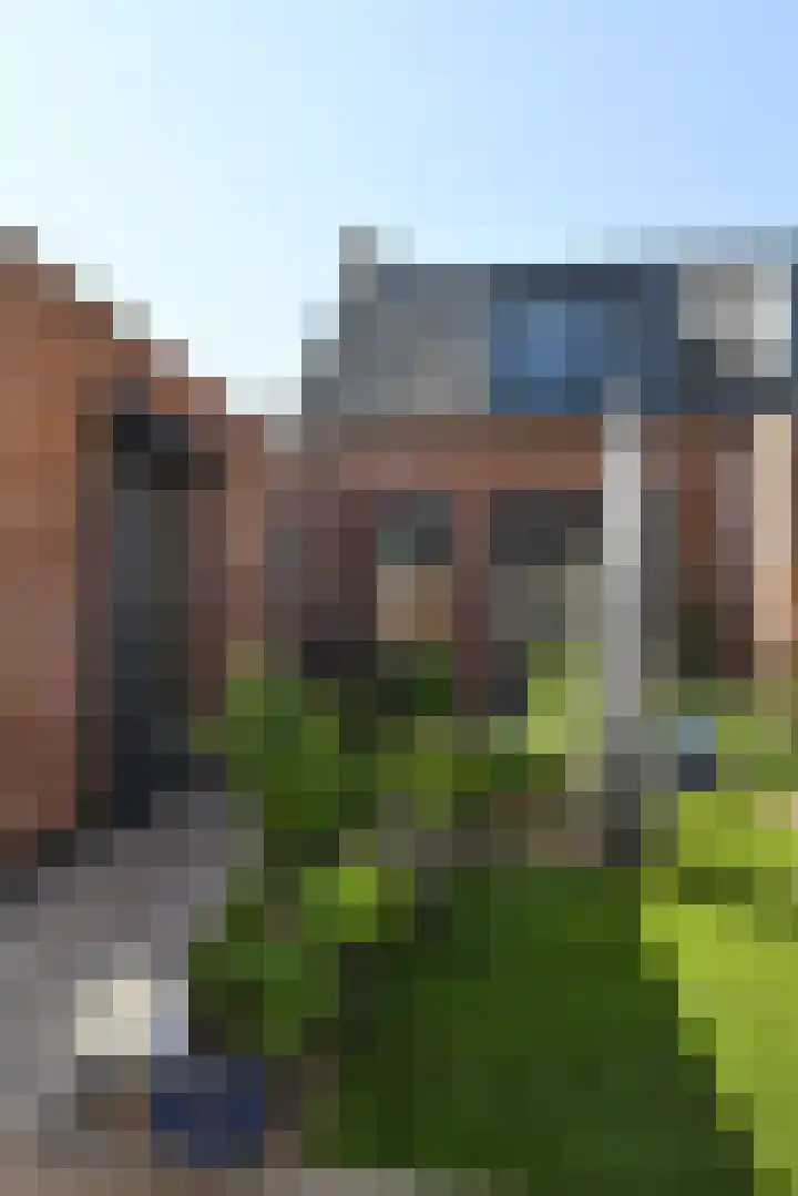 Coupure 19 Steenbergen thumbnail 7