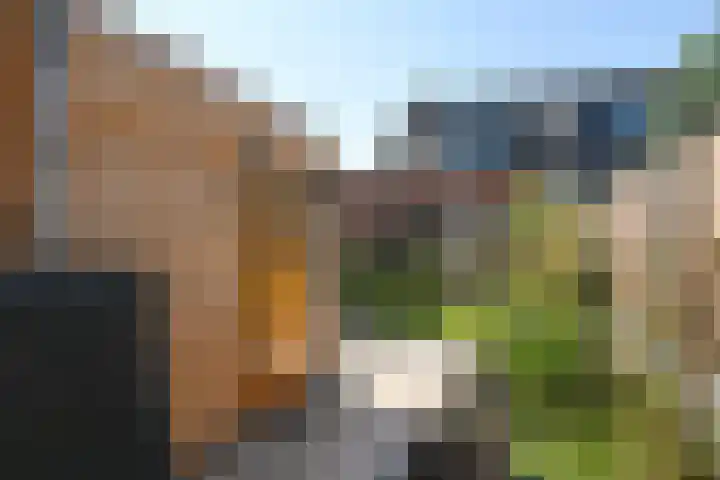 Coupure 19 Steenbergen thumbnail 8