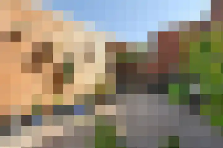 Coupure 19 Steenbergen thumbnail 9
