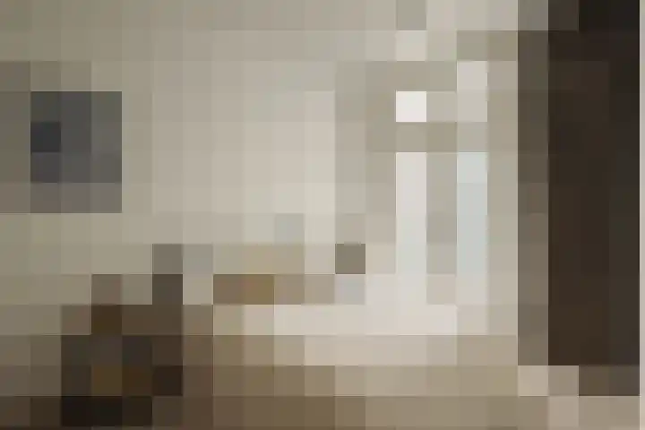 Courbetstraat 11 3 Amsterdam thumbnail 14