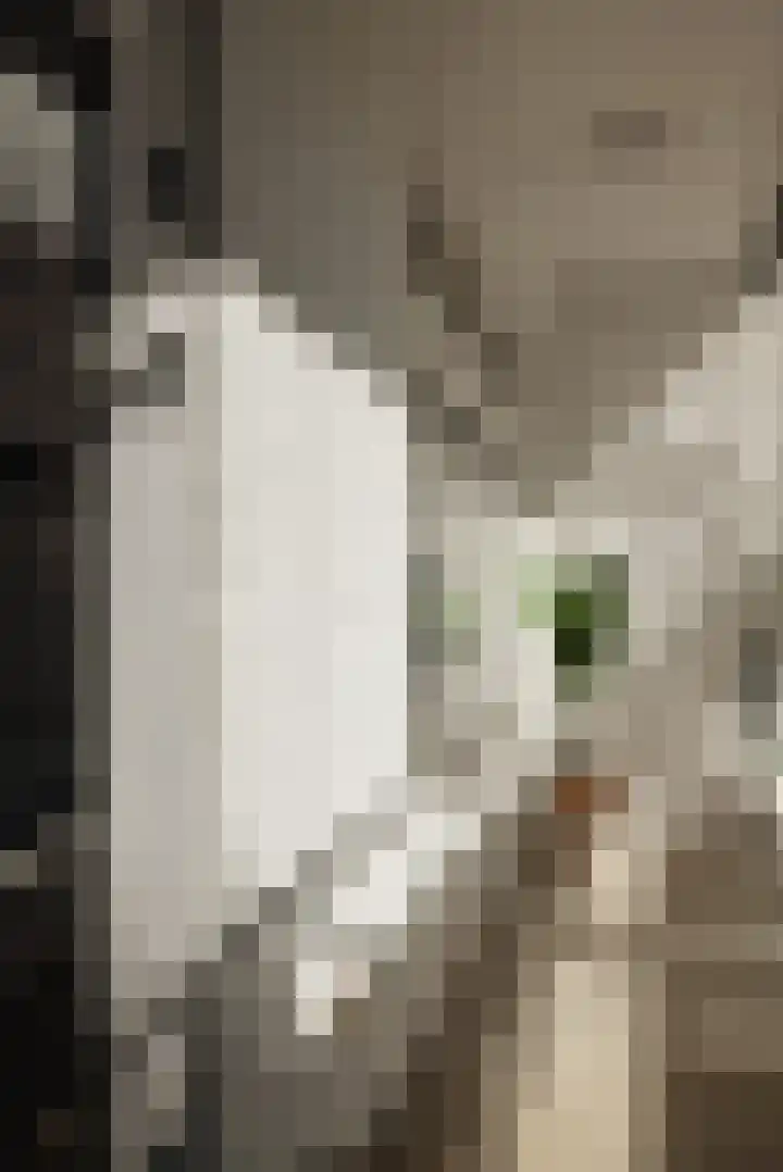 Courbetstraat 11 3 Amsterdam thumbnail 17