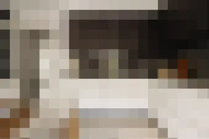 Courbetstraat 11 3 Amsterdam thumbnail 22