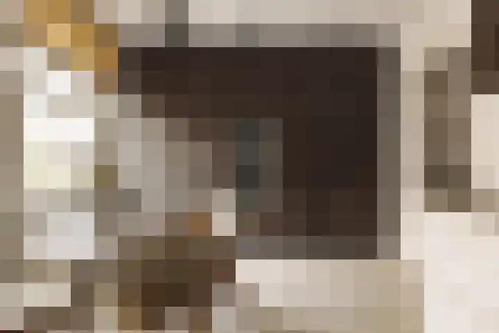 Courbetstraat 11 3 Amsterdam thumbnail 4