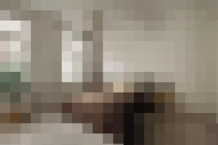 Courbetstraat 11 3 Amsterdam thumbnail 5
