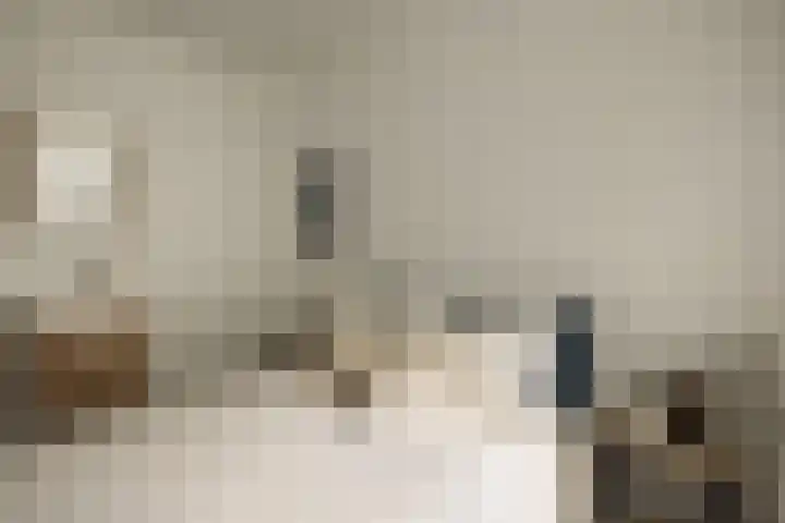 Courbetstraat 11 3 Amsterdam thumbnail 6
