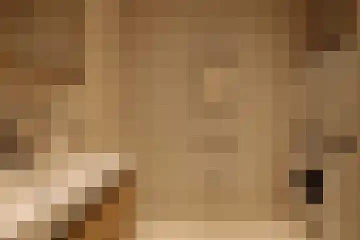 Courbetstraat 11 3 Amsterdam thumbnail 7