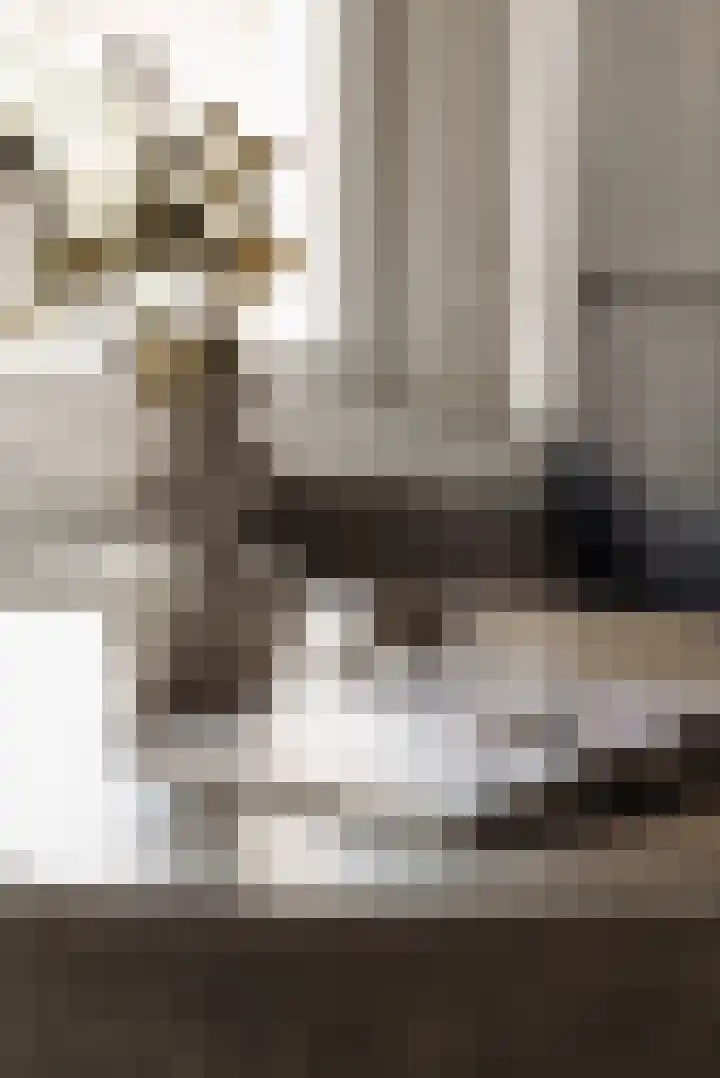 Courbetstraat 11 3 Amsterdam thumbnail 8
