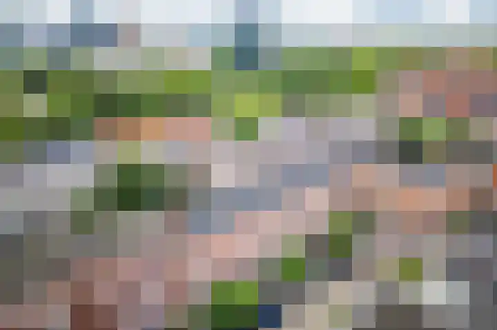 Courbetstraat 25 1 Amsterdam thumbnail 32