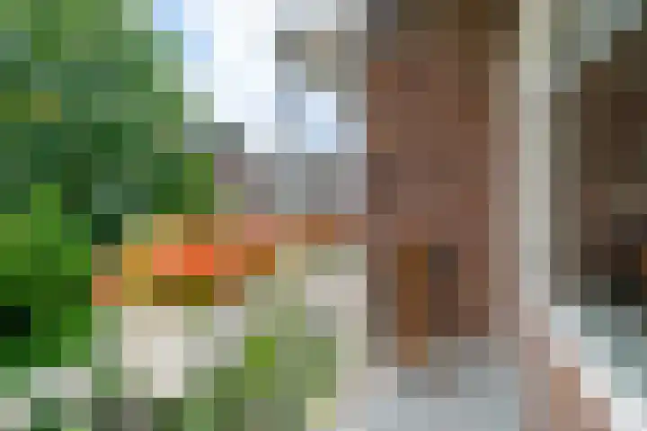 Courbetstraat 25 1 Amsterdam thumbnail 9