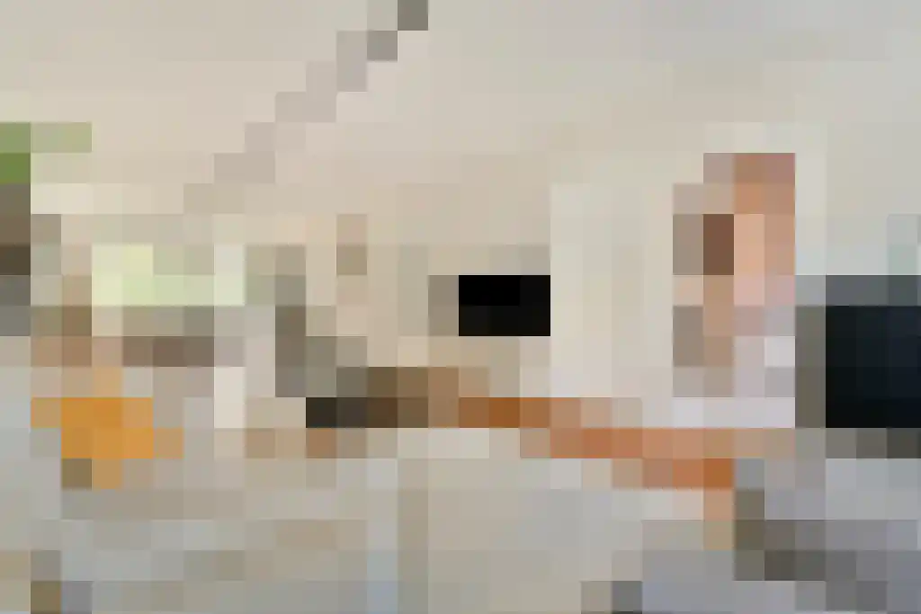 Courbetstraat 33 1 Amsterdam thumbnail 5
