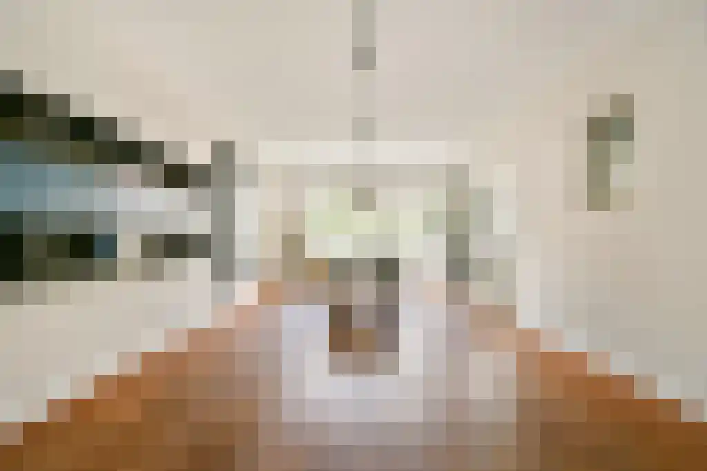 Courbetstraat 33 1 Amsterdam thumbnail 6