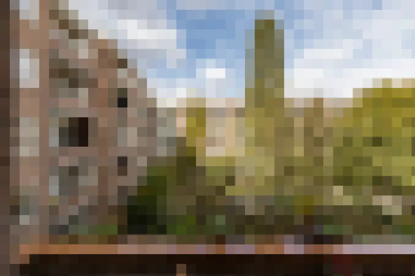 Courbetstraat 44 1 Amsterdam thumbnail 13