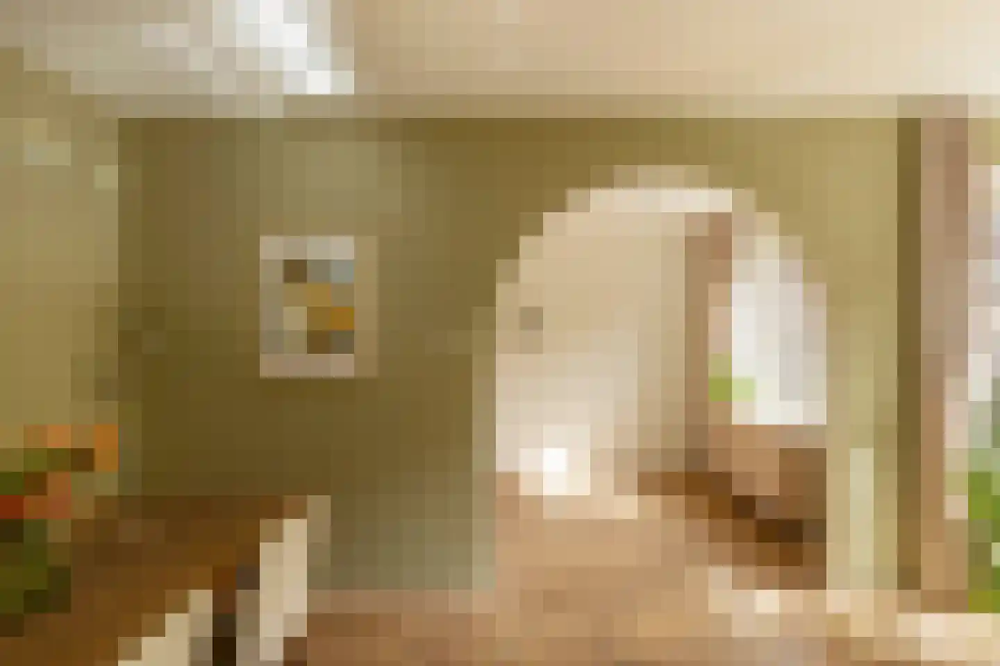 Courbetstraat 44 1 Amsterdam thumbnail 8