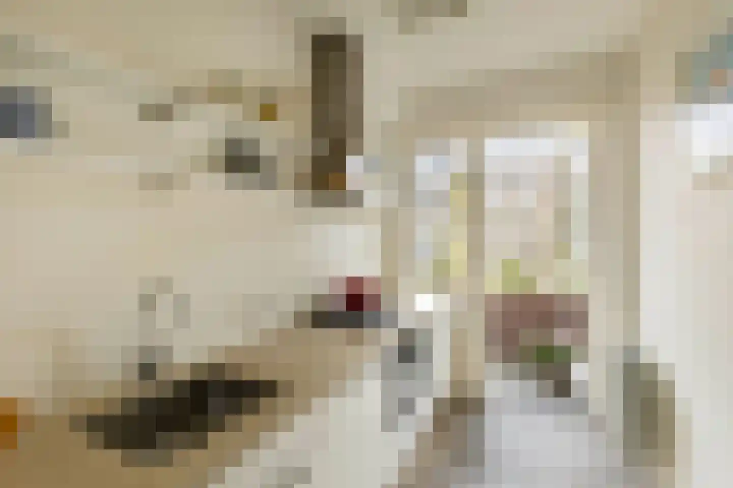 Courbetstraat 44 4 Amsterdam thumbnail 12