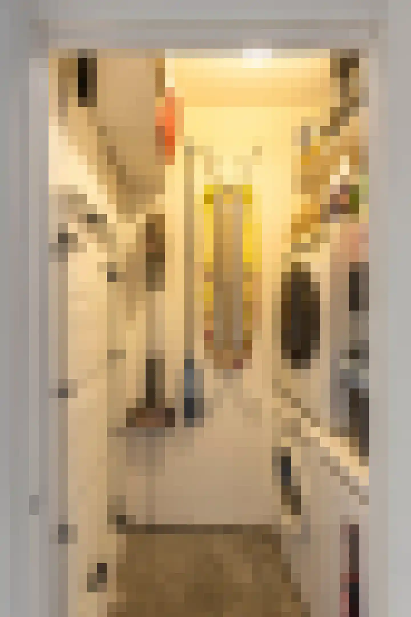 Courbetstraat 44 4 Amsterdam thumbnail 21