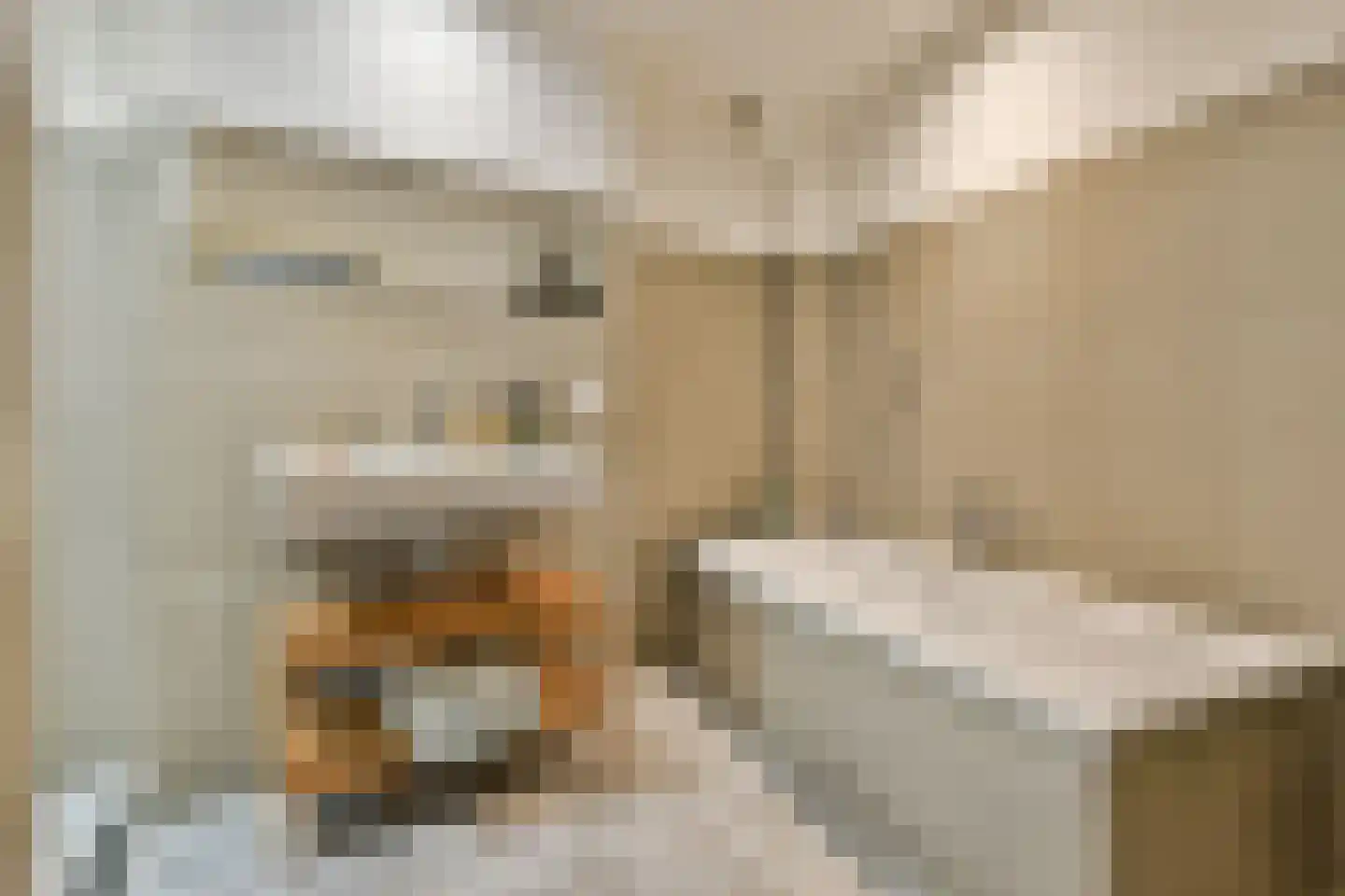 Courbetstraat 48 2 Amsterdam thumbnail 15
