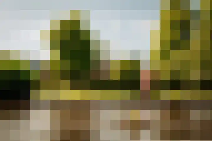 Courbetstraat 9 4V Amsterdam thumbnail 25