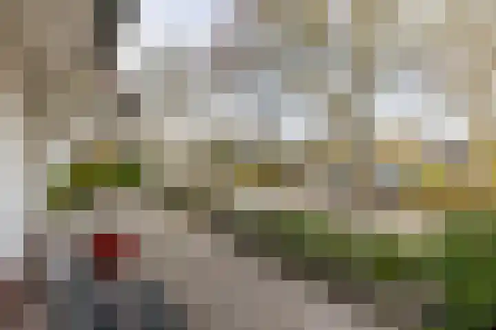 Courteniusstraat 4 Hellevoetsluis thumbnail 11
