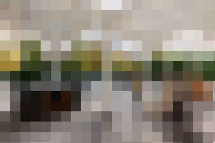 Courteniusstraat 4 Hellevoetsluis thumbnail 33